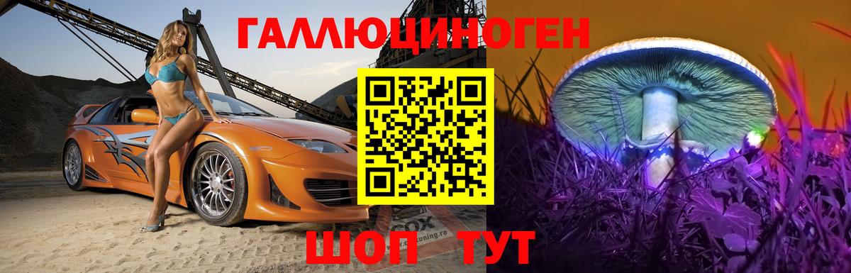 Галлюциногенные грибы Psilocybine cubensis Грозный