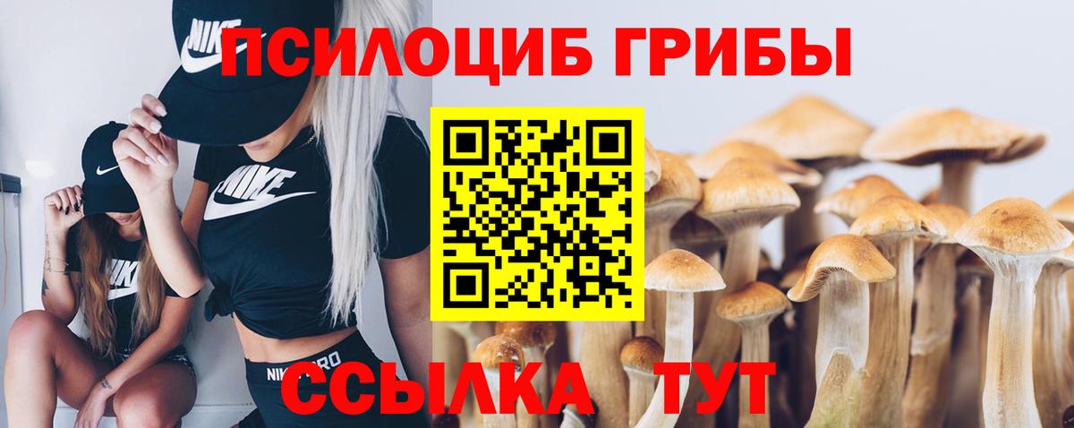 Псилоцибиновые грибы MAGIC MUSHROOMS  Вход с VPN  Грозный 