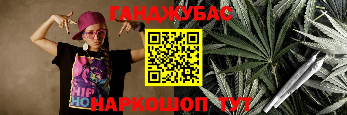 Конопля сатива Грозный